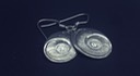 Earrings - Salish Moonsnail Shell