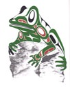 Frog - Craig