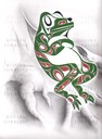 Frog - Teddy