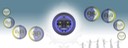 Haida Moons in Transformation (Website Graphic Backdrop)