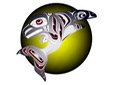 Killerwhale