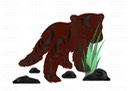Salish Cub