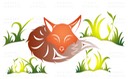 Salish Fox