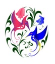Salish Hummingbirds