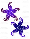 Salish Starfish