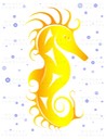 Salsih Seahorse