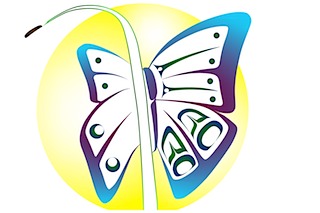 SUNBATHING BUTTERFLY